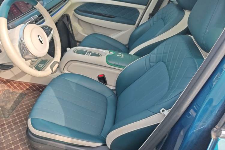 Used ORA Good Cat 2023 401 km Standard Range Prestige Version Lithium Iron Phosphate Left Front Seat