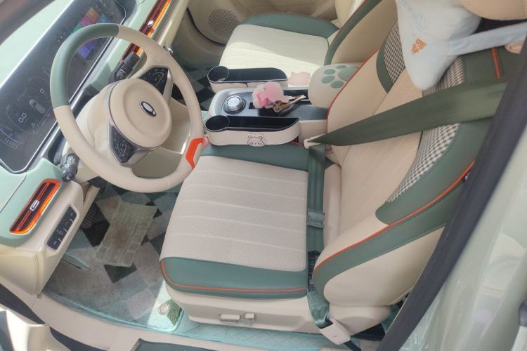 Used ORA Good Cat 2023 401 km Standard Range Premium Version Lithium Iron Phosphate Left Front Seat