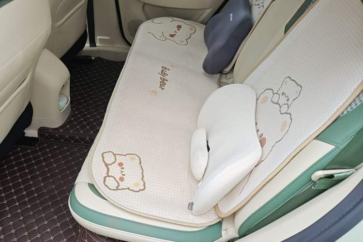 Used ORA Good Cat 2023 401 km Standard Range Luxury Version Lithium Iron Phosphate Left Rear Seat