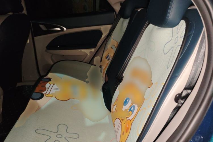 Used ORA Good Cat 2023 401 km Standard Range Premium Version Lithium Iron Phosphate Left Rear Seat