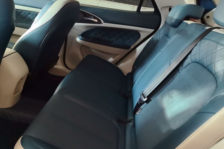 Used ORA Good Cat 2023 401 km Standard Range Luxury Version Lithium Iron Phosphate Left Rear Seat