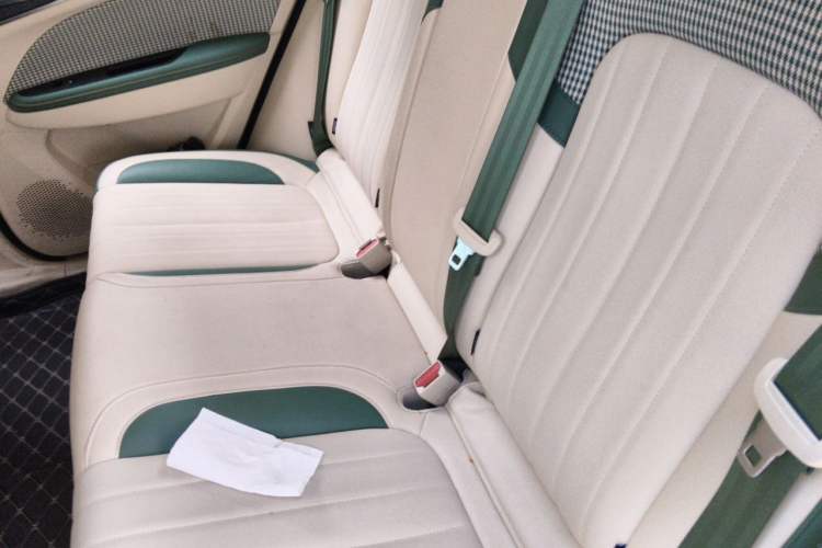 Used ORA Good Cat 2023 401 km Standard Range Luxury Version Lithium Iron Phosphate Left Rear Seat