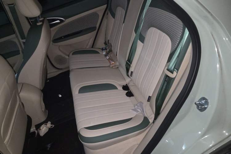 Used ORA Good Cat 2023 401 km Standard Range Luxury Version Lithium Iron Phosphate Left Rear Seat