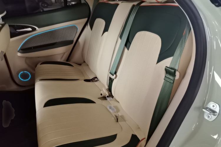Used ORA Good Cat 2023 401 km Standard Range Luxury Version Lithium Iron Phosphate Left Rear Seat