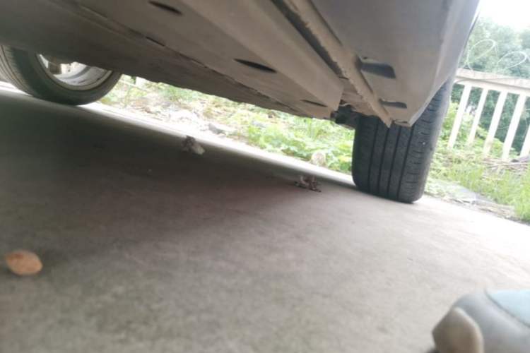 Used ORA Good Cat 2023 401 km Standard Range Premium Version Lithium Iron Phosphate Left Side Sill
