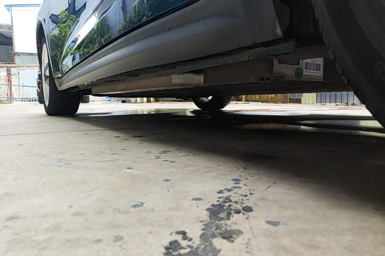Used ORA Good Cat 2023 401 km Standard Range Luxury Version Lithium Iron Phosphate Left Side Sill