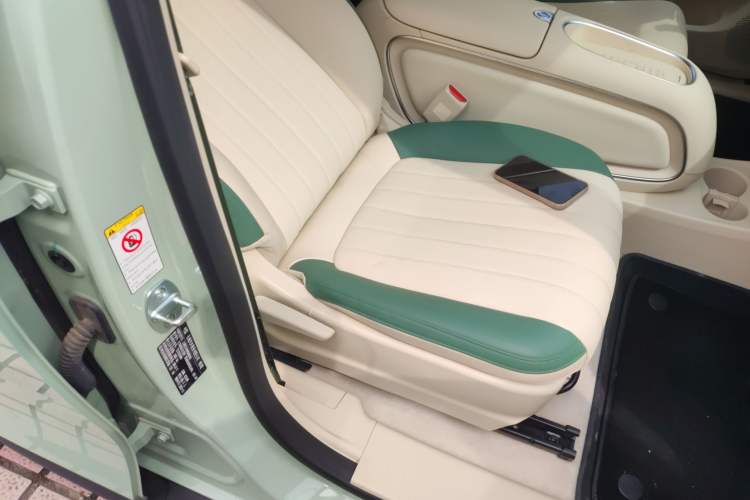 Used ORA Good Cat 2023 401 km Standard Range Luxury Version Lithium Iron Phosphate Right Front Seat