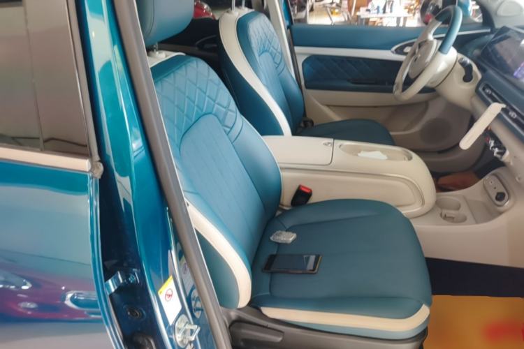 Used ORA Good Cat 2023 401 km Standard Range Luxury Version Lithium Iron Phosphate Right Front Seat
