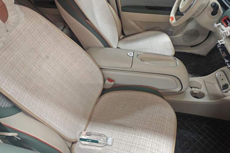 Used ORA Good Cat 2023 401 km Standard Range Luxury Version Lithium Iron Phosphate Right Front Seat