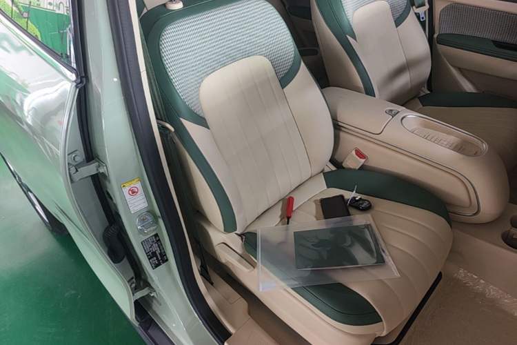 Used ORA Good Cat 2023 401 km Standard Range Luxury Version Lithium Iron Phosphate Right Front Seat