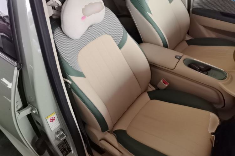Used ORA Good Cat 2023 401 km Standard Range Luxury Version Lithium Iron Phosphate Right Front Seat