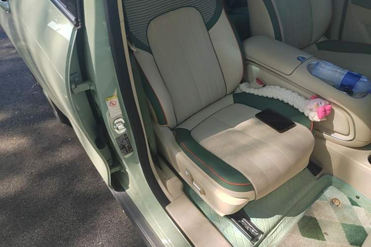 Used ORA Good Cat 2023 401 km Standard Range Premium Trim Ternary Lithium Right Front Seat