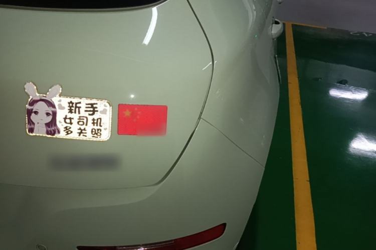 Used ORA Good Cat 2023 401 km Standard Range Premium Version Lithium Iron Phosphate Right Rear Taillight