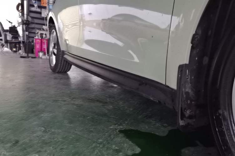 Used ORA Good Cat 2023 401 km Standard Range Luxury Version Lithium Iron Phosphate Right Side Sill