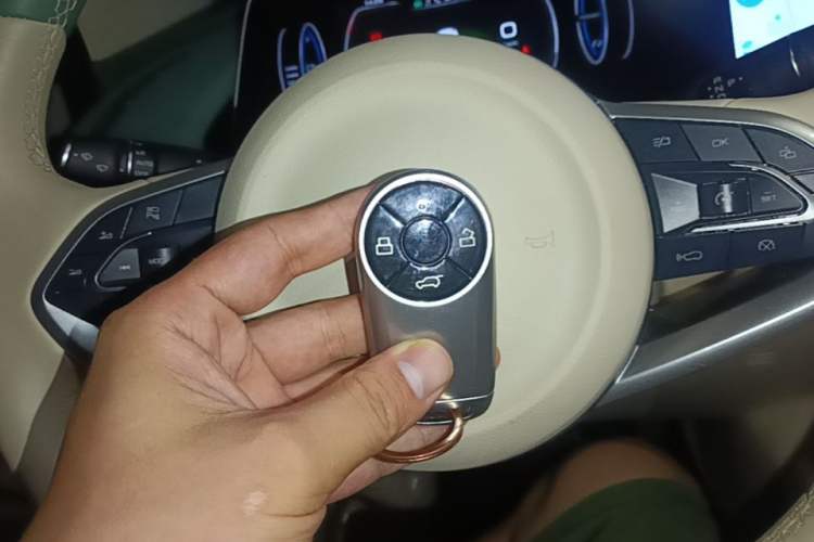 Used ORA Good Cat 2023 401 km Standard Range Luxury Version Lithium Iron Phosphate Vehicle Key