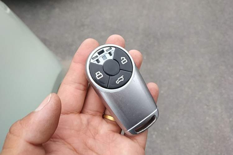 Used ORA Good Cat 2023 401 km Standard Range Luxury Version Lithium Iron Phosphate Vehicle Key