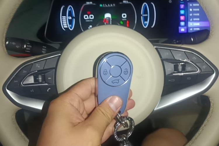 Used ORA Good Cat 2023 401 km Standard Range Premium Version Lithium Iron Phosphate Vehicle Key