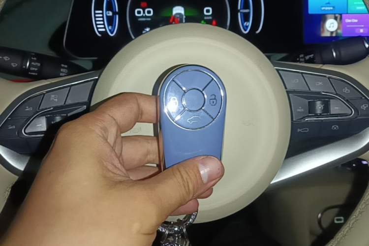 Used ORA Good Cat 2023 401 km Standard Range Premium Version Lithium Iron Phosphate Vehicle Key