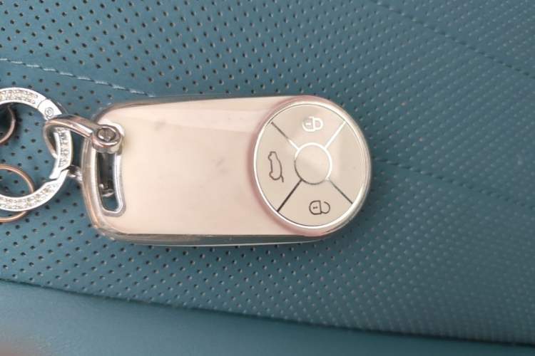 Used ORA Good Cat 2023 401 km Standard Range Prestige Version Lithium Iron Phosphate Vehicle Key