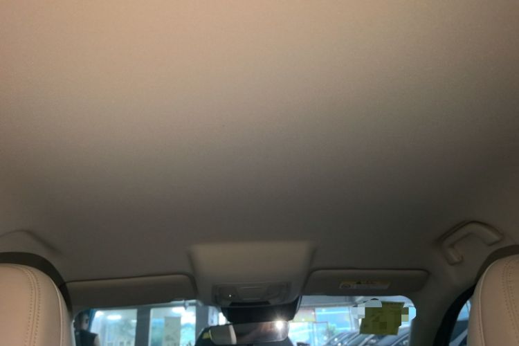 Used ORA Good Cat 2023 401 km Standard Range Luxury Version Lithium Iron Phosphate Headliner