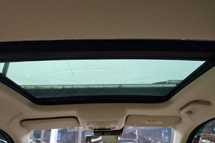 Used ORA Good Cat 2023 401 km Standard Range Premium Version Lithium Iron Phosphate Headliner