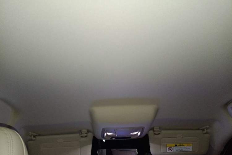 Used ORA Good Cat 2023 401 km Standard Range Luxury Version Lithium Iron Phosphate Headliner