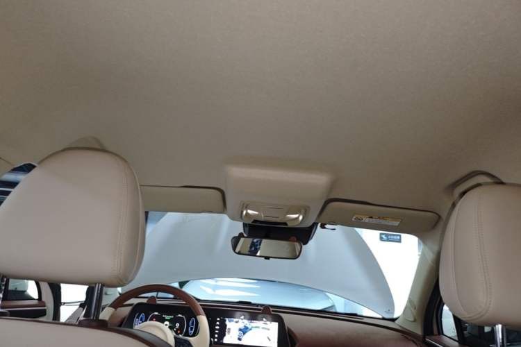 Used ORA Good Cat 2023 401 km Standard Range Luxury Version Lithium Iron Phosphate Headliner