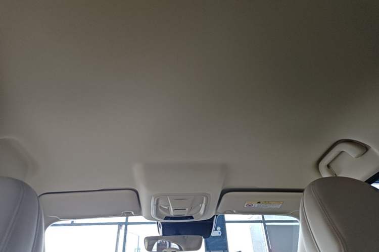 Used ORA Good Cat 2023 401 km Standard Range Luxury Version Lithium Iron Phosphate Headliner