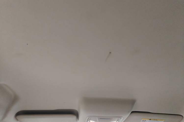 Used ORA Good Cat 2023 401 km Standard Range Comfort Version Lithium Iron Phosphate Headliner
