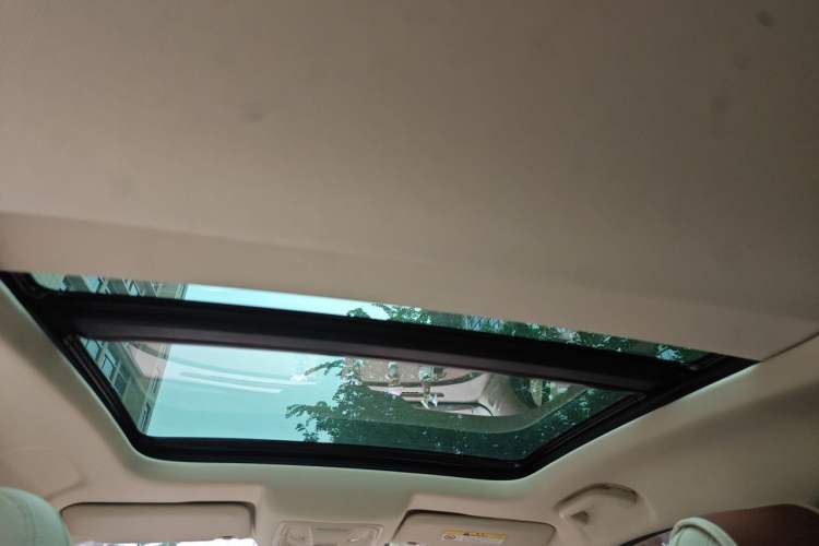 Used ORA Good Cat 2023 401 km Standard Range Premium Version Lithium Iron Phosphate Headliner