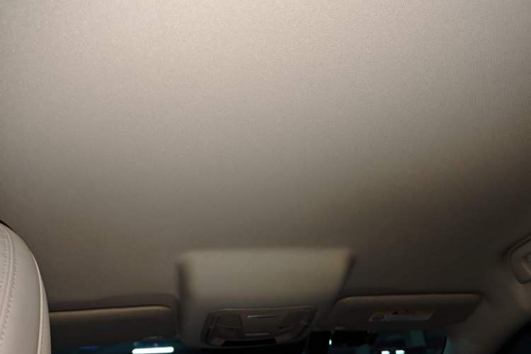 Used ORA Good Cat 2023 401 km Standard Range Luxury Version Lithium Iron Phosphate Headliner