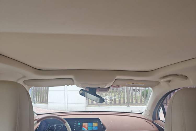 Used ORA Good Cat 2023 401 km Standard Range Premium Trim Ternary Lithium Headliner