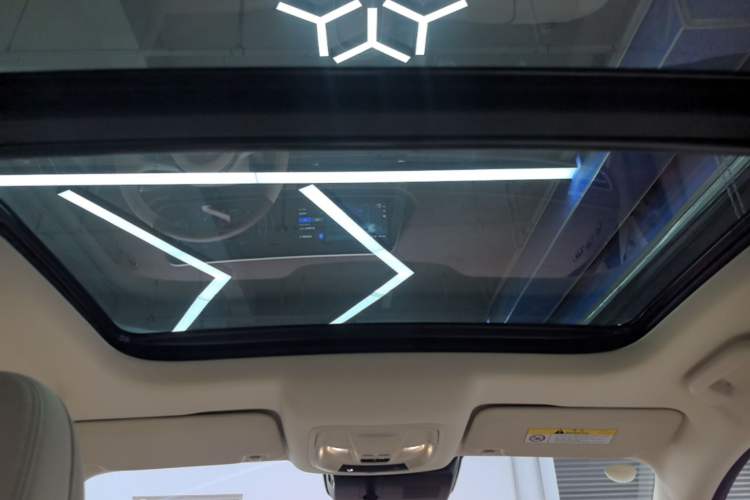 Used ORA Good Cat 2023 401 km Standard Range Premium Version Lithium Iron Phosphate Headliner