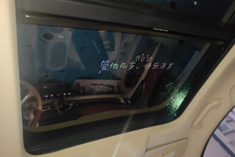 Used ORA Good Cat 2023 401 km Standard Range Prestige Version Lithium Iron Phosphate Headliner