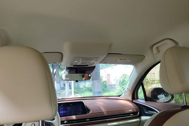 Used ORA Good Cat 2023 401 km Standard Range Luxury Version Lithium Iron Phosphate Headliner