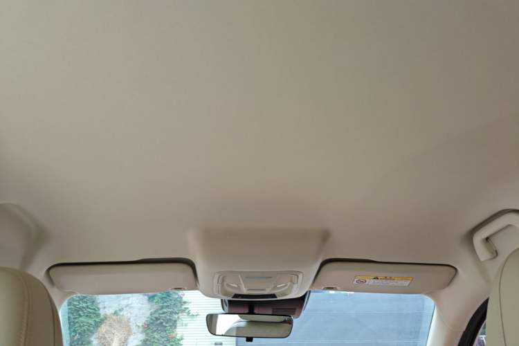 Used ORA Good Cat 2023 401 km Standard Range Luxury Version Lithium Iron Phosphate Headliner