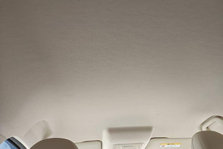 Used ORA Good Cat 2023 401 km Standard Range Comfort Version Lithium Iron Phosphate Headliner