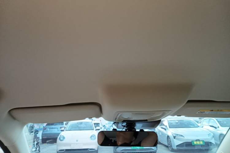 Used ORA Good Cat 2023 401 km Standard Range Luxury Version Lithium Iron Phosphate Headliner