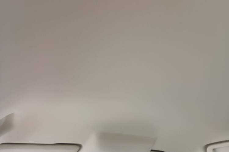 Used ORA Good Cat 2023 401 km Standard Range Comfort Version Lithium Iron Phosphate Headliner