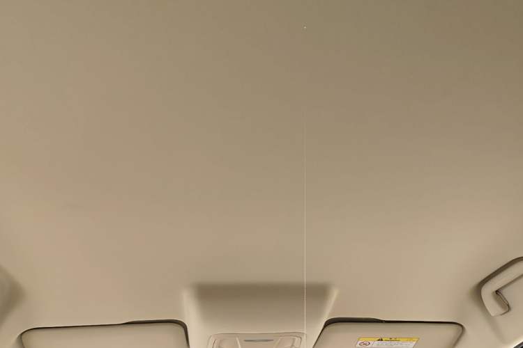 Used ORA Good Cat 2023 401 km Standard Range Luxury Version Lithium Iron Phosphate Headliner