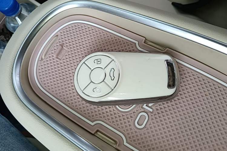 Used ORA Good Cat 2023 401 km Standard Range Luxury Version Ternary Lithium Interior 1