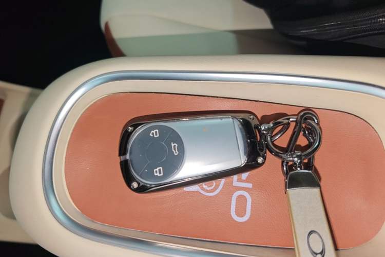 Used ORA Good Cat 2023 401 km Standard Range Luxury Version Ternary Lithium Interior 1