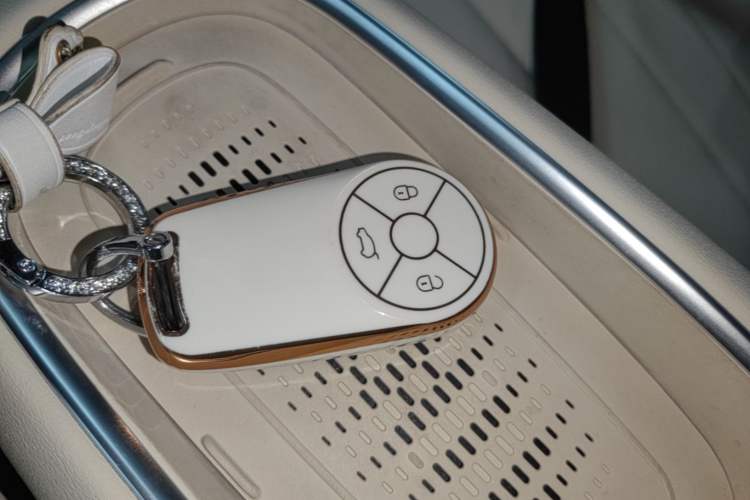 Used ORA Good Cat 2023 401 km Standard Range Luxury Version Lithium Iron Phosphate Interior 1