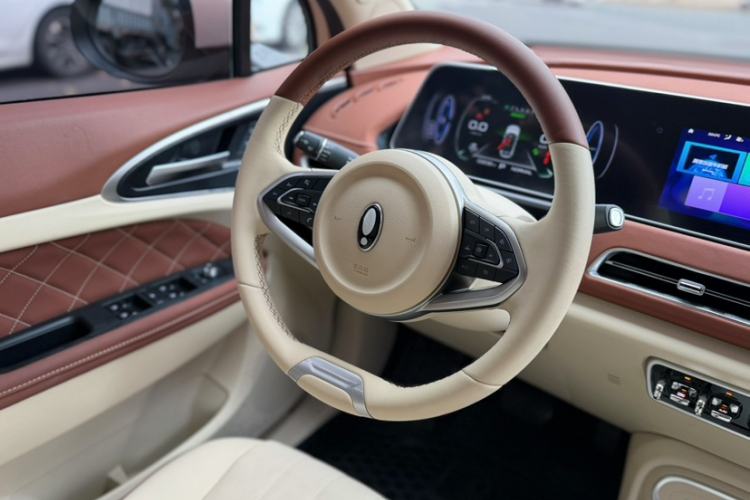 Used ORA Good Cat 2023 401 km Standard Range Luxury Version Ternary Lithium Interior 10