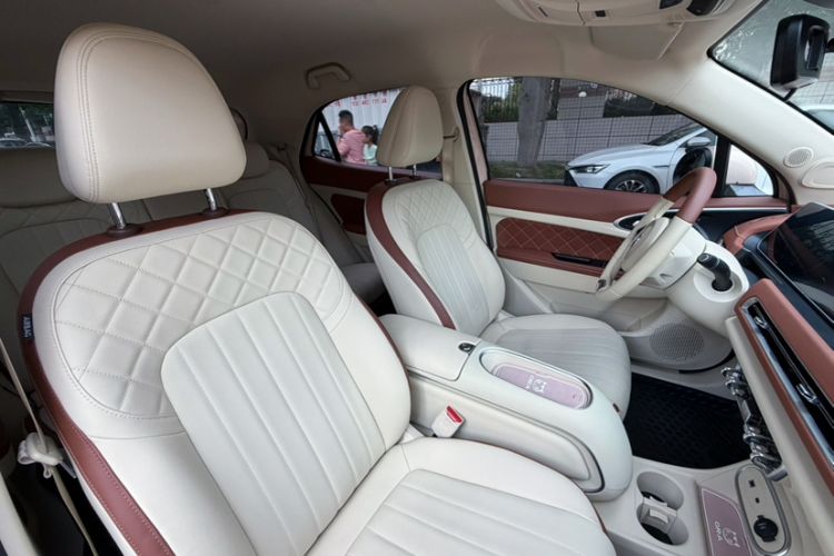 Used ORA Good Cat 2023 401 km Standard Range Luxury Version Ternary Lithium Interior 12