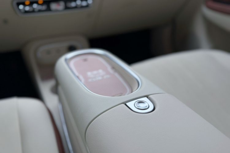 Used ORA Good Cat 2023 401 km Standard Range Luxury Version Ternary Lithium Interior 2