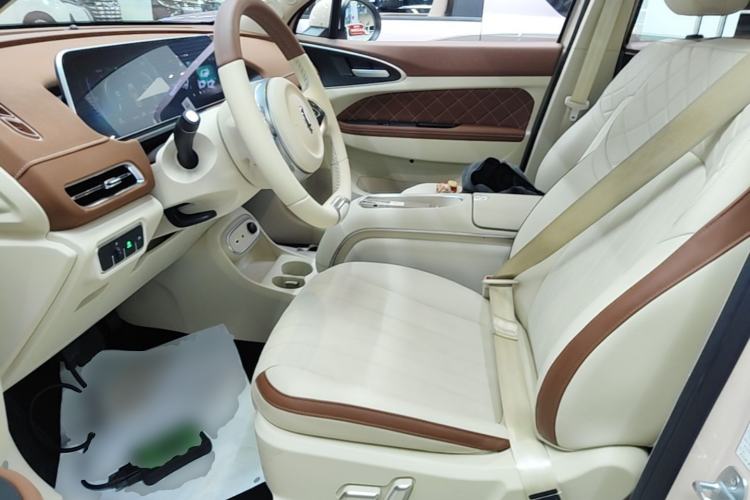 Used ORA Good Cat 2023 401 km Standard Range Luxury Version Lithium Iron Phosphate Left Front Seat