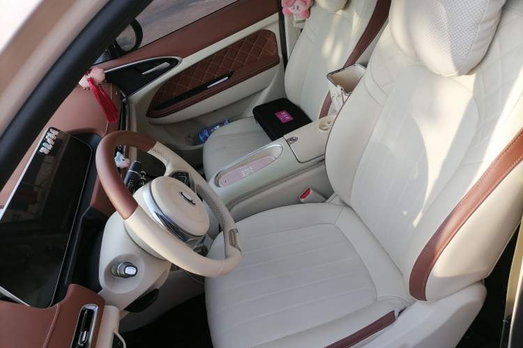 Used ORA Good Cat 2023 401 km Standard Range Luxury Version Ternary Lithium Left Front Seat