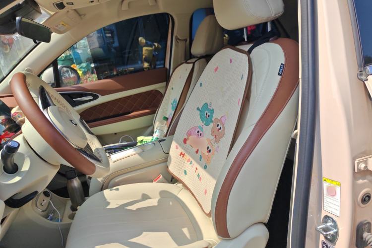 Used ORA Good Cat 2023 401 km Standard Range Luxury Version Lithium Iron Phosphate Left Front Seat