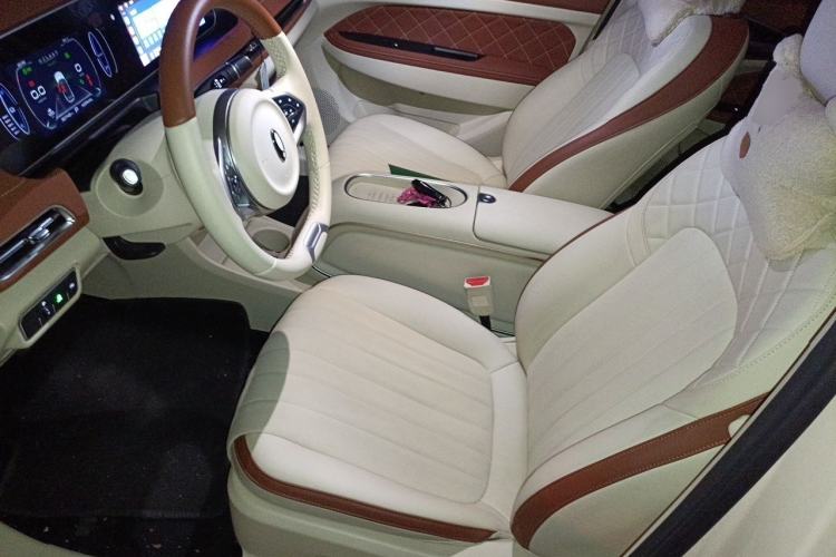 Used ORA Good Cat 2023 401 km Standard Range Luxury Version Lithium Iron Phosphate Left Front Seat